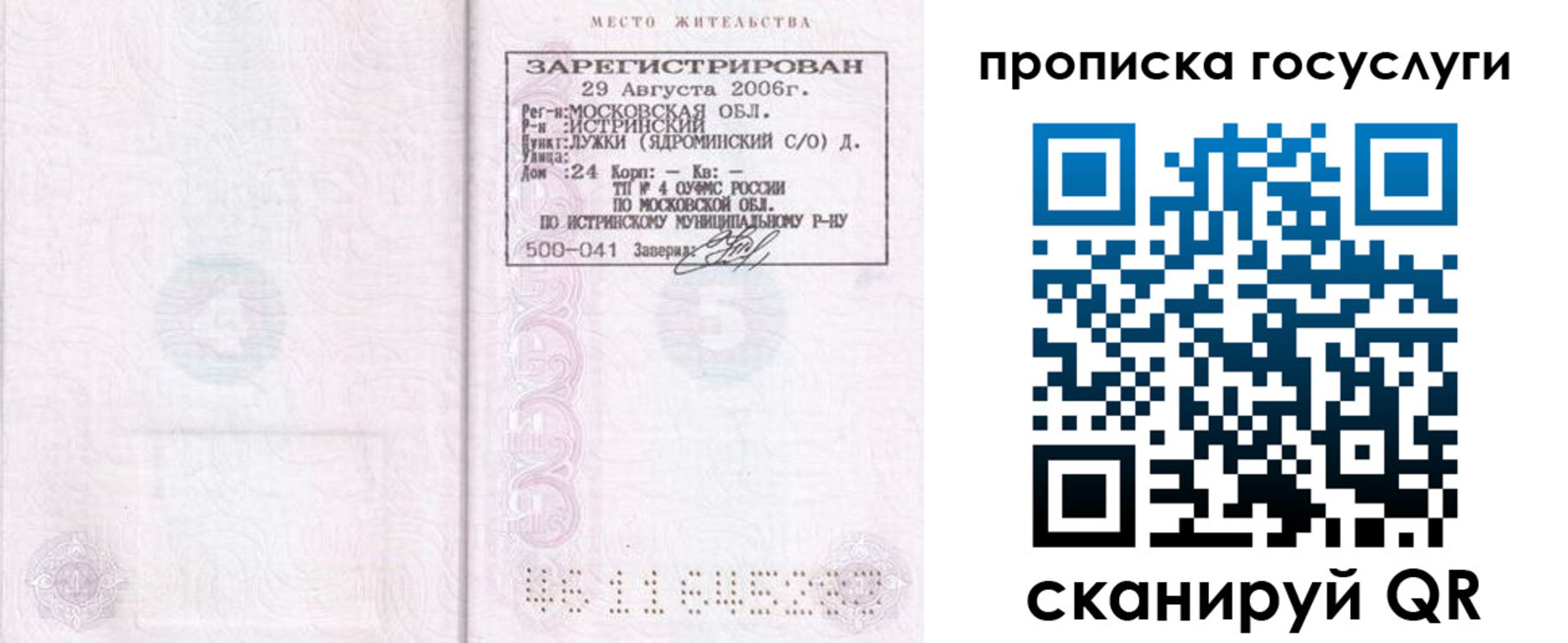временная регистрация поиск в Новосибирской области